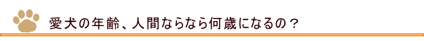 愛犬の年齢はいくつ？　愛犬家注文住宅　札幌