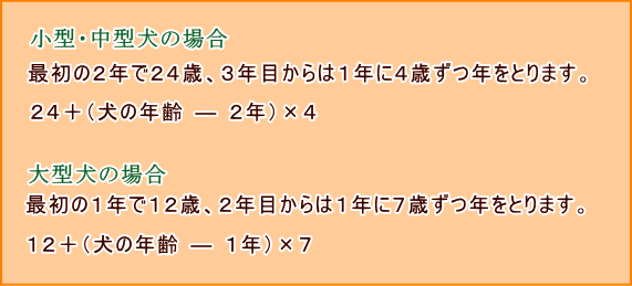 愛犬の年齢の算出方法　札幌