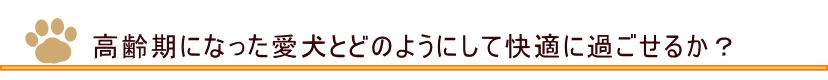 高齢になった愛犬と快適に過ごすためには？　札幌