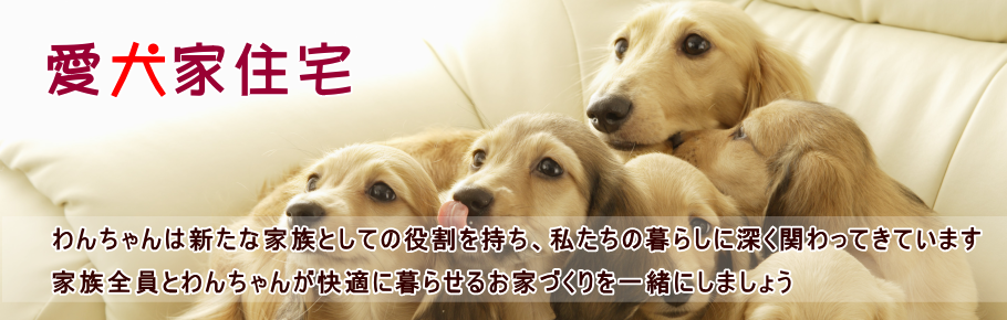 愛犬家住宅・注文住宅　札幌　愛犬家住宅の専門家