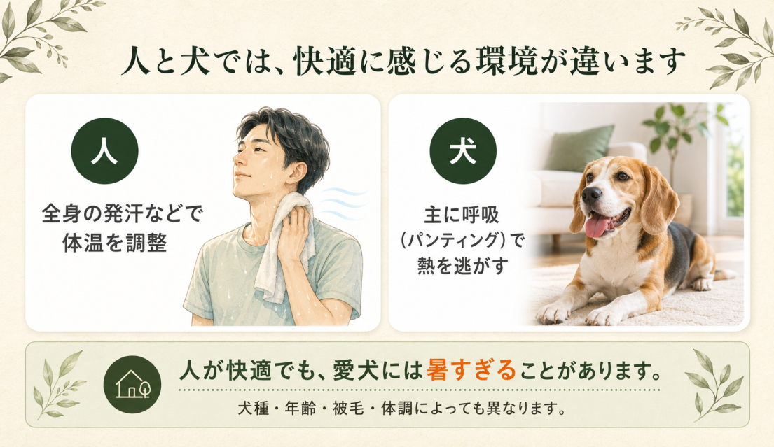 人と犬では快適に感じる室内環境が違います