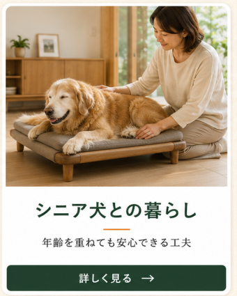 年齢を重ねた愛犬が安心して暮らせる住まいの工夫