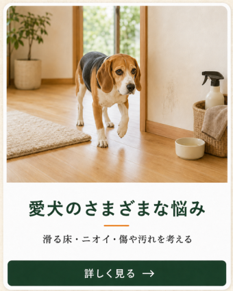 ビーグルと暮らす家庭の滑る床、ニオイ、傷や汚れなどの住まいの悩み