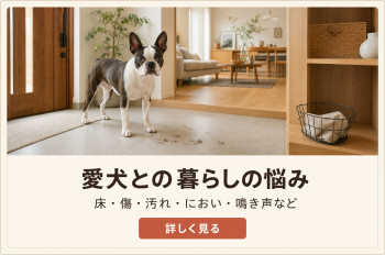愛犬の暮らしと悩み