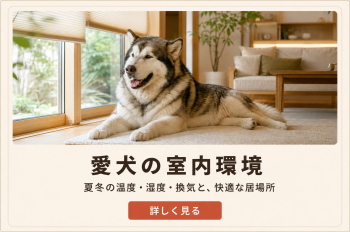愛犬の室内での空間整備と環境