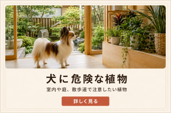 犬に危険な植物